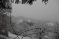 CASENTINO