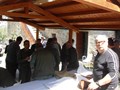 Censimenti capriolo 2011