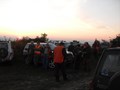 Censimenti capriolo 2011