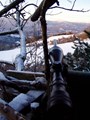 Appostamento innevato