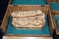 il trofeo