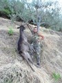 PRIMA COPPIOLA PER ALBERTO
