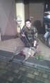 Capriolo inverno 2013