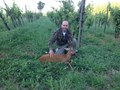 16 giugno 2013
