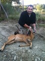 primo capriolo 