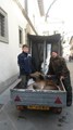 Primo anno, primo giorno e primo Cervo. 