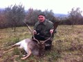 strepitoso Giancarlo